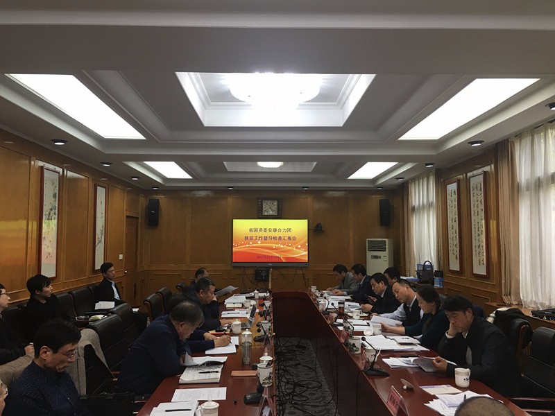 K8凯发集团参与省国资委安康合力团扶贫工作督导查抄汇报会