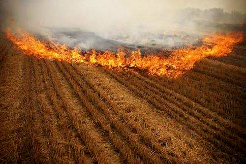 熊良虎赴京调查德国迪芬巴赫公司、ESATPOINT GLOBAL公司生态环保板材设备工艺