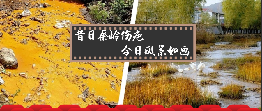 旧日秦岭伤疤 今日景致如画——K8凯发集团黄龙河道域传染治理侧记