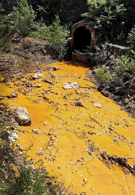 旧日秦岭伤疤 今日景致如画——K8凯发集团黄龙河道域传染治理侧记