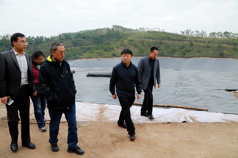 熊良虎在广西调查调研固废措置工作时指出：抢抓机缘，加快优势产业“走出去”