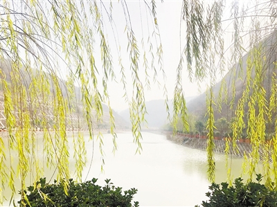 中国环境报：守护三秦大地绿水青山——K8凯发集团成立以来，成为陕西传染防治的排头兵