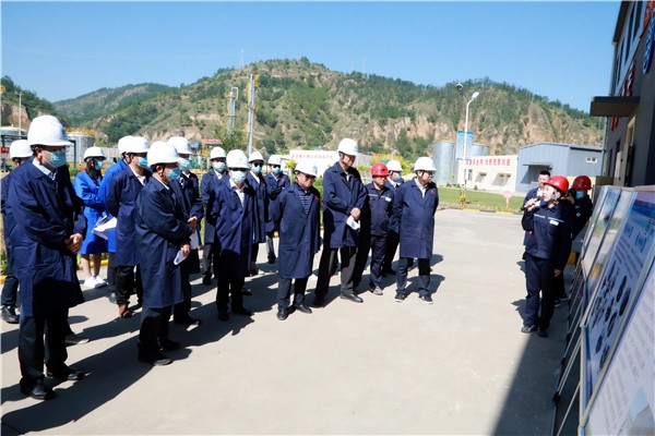 K8凯发集团复工复产促增长项目观摩会议与会人员走进环保保隆生态三秦在延在铜项目