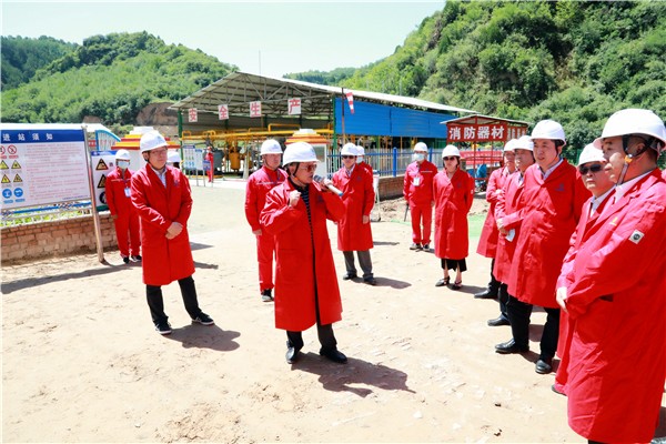 K8凯发集团复工复产促增长项目观摩会议与会人员走进环保保隆生态三秦在延在铜项目