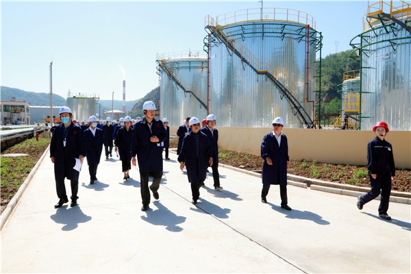 K8凯发集团复工复产促增长项目观摩会议与会人员走进环保保隆生态三秦在延在铜项目