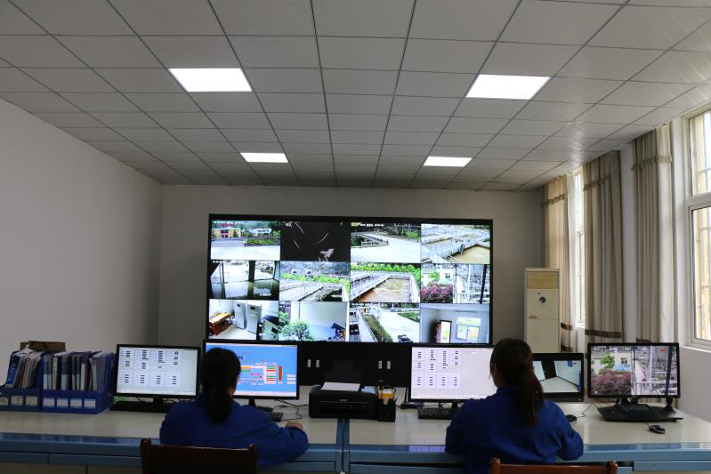 这个端午节，水环境人这么过（二）