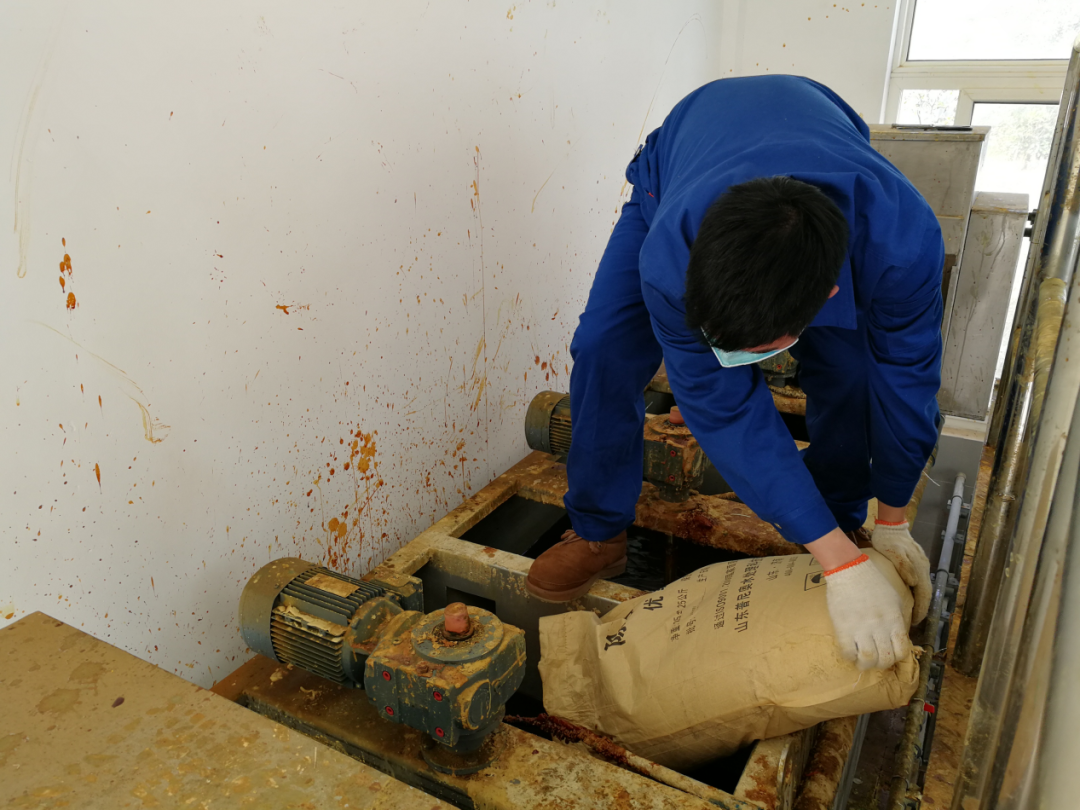 这个端午节，水环境人这么过（二）