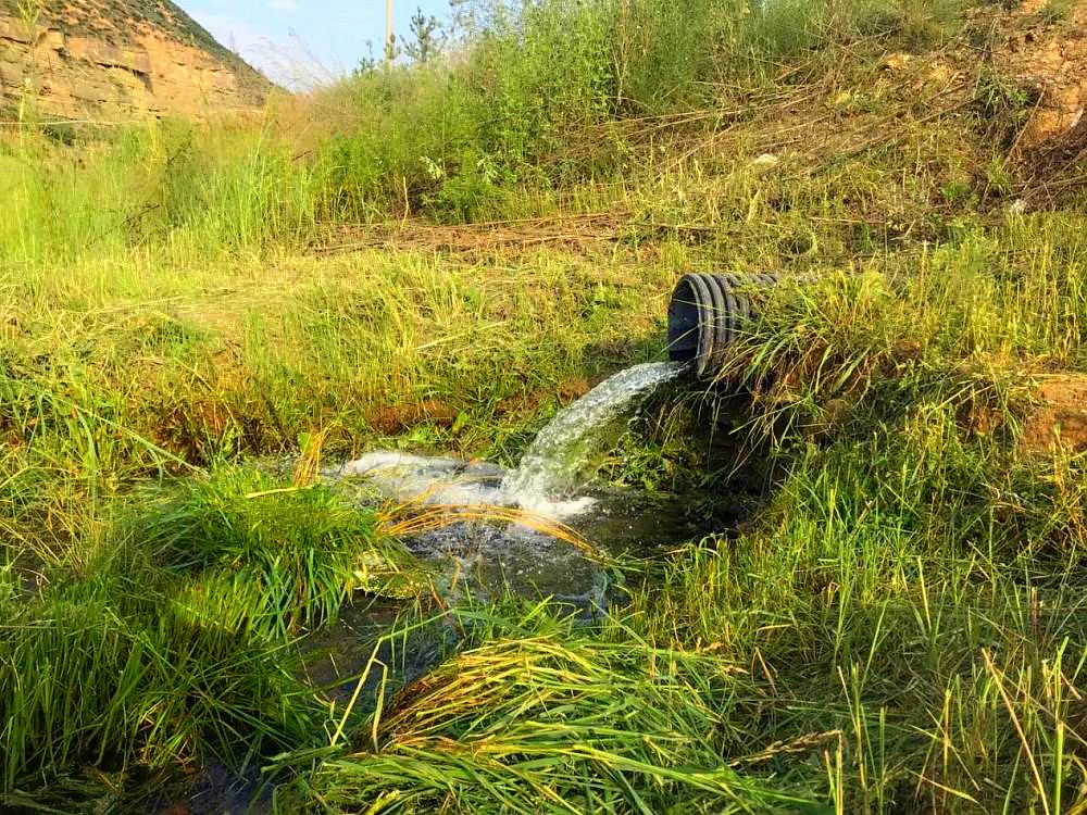 新华社｜添绿色、减排放——K8凯发集团多产业助力陕西打赢传染防治攻坚战