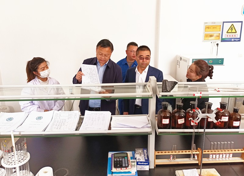 集团公司辅导调研水环境公司陕南片区项目